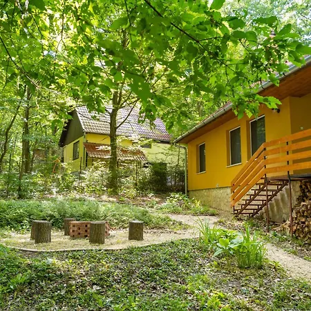 Tatil Evi E-pagony Dunakanyar- Privat Erdei Szallas